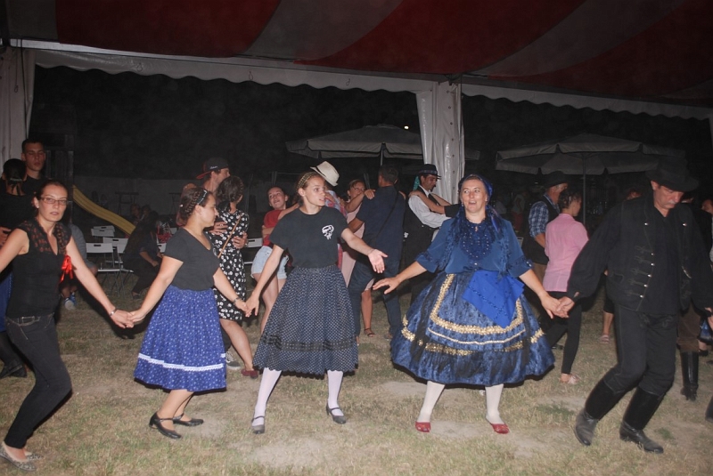 DSC_1612 (Medium).JPG